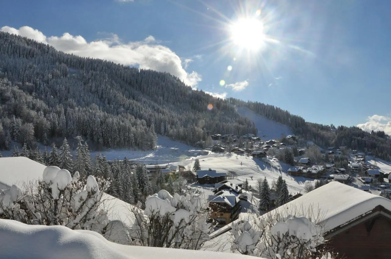 Duplex 6 Pers Centre Station Carroz Apartment Les Carroz d'Araches
